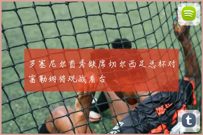 罗塞尼尔首秀缺席切尔西足总杯对富勒姆将观战看台
