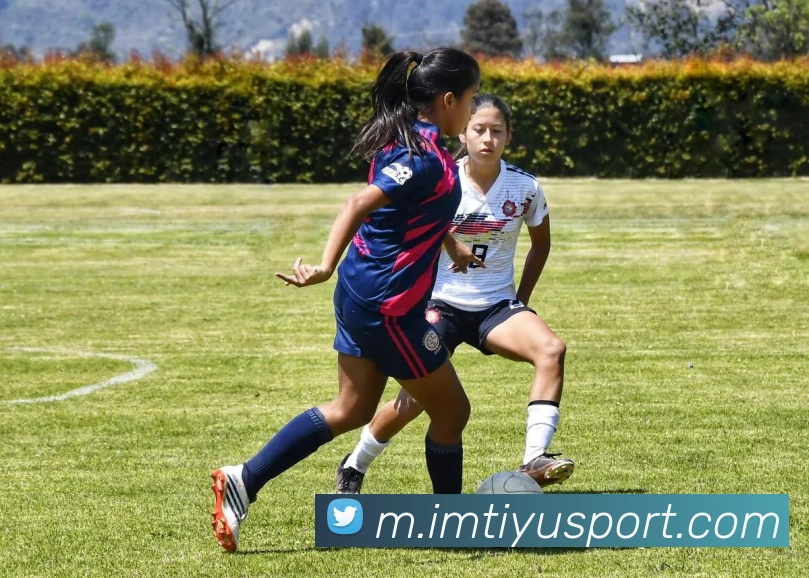 IM体育官平台生态图